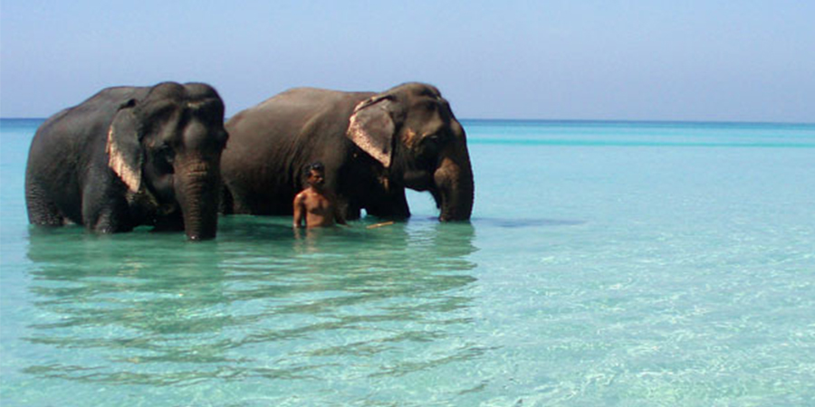andaman-nicobar-island-india-with-nta-holidays